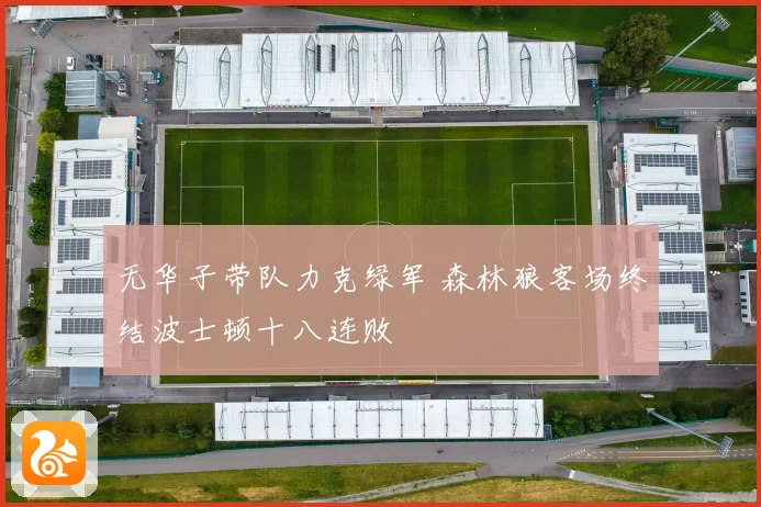 无华子带队力克绿军 森林狼客场终结波士顿十八连败
