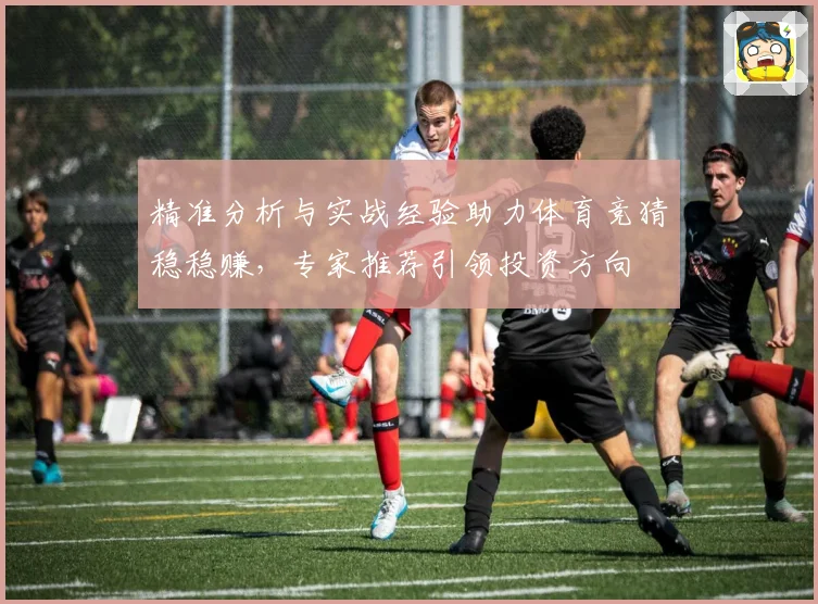 精准分析与实战经验助力体育竞猜稳稳赚，专家推荐引领投资方向